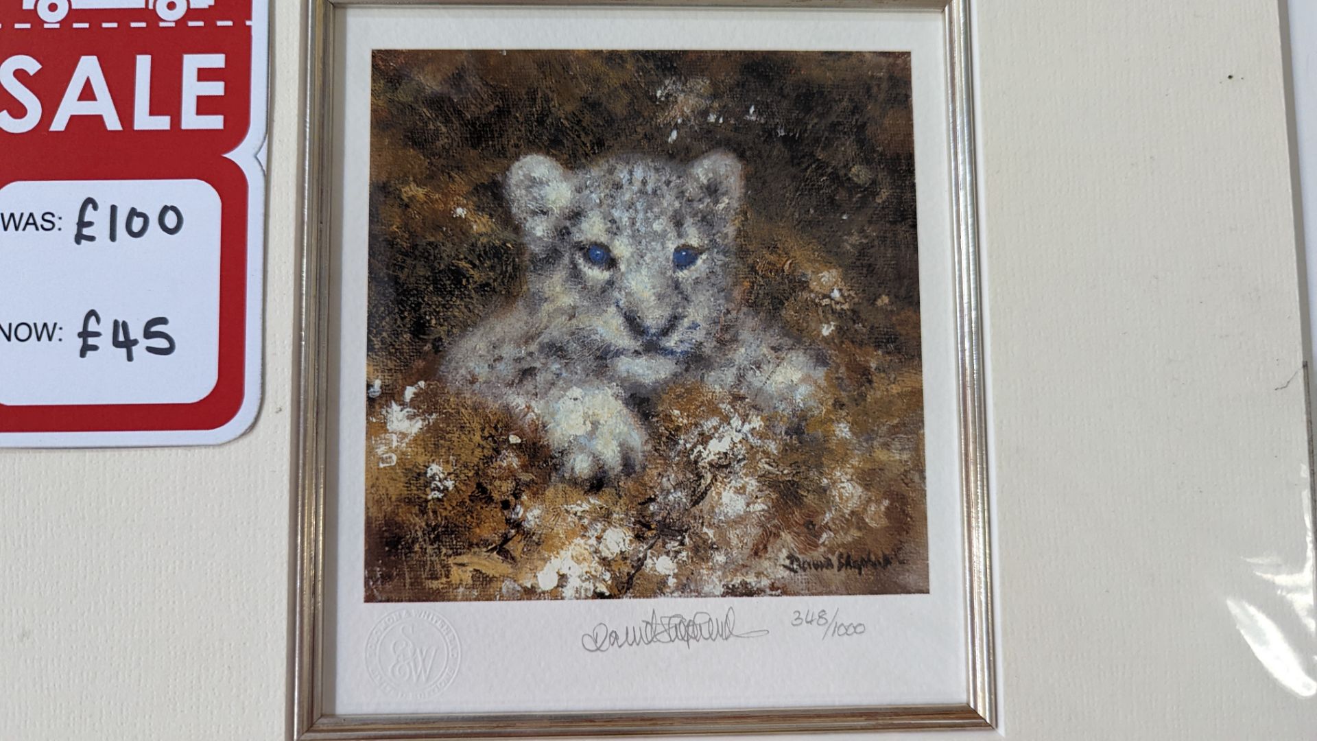 Pair of limited edition prints by David Shepherd OBE FRSA, "Snow Leopard Cub" & "Ocelot Cub", each p - Image 10 of 12