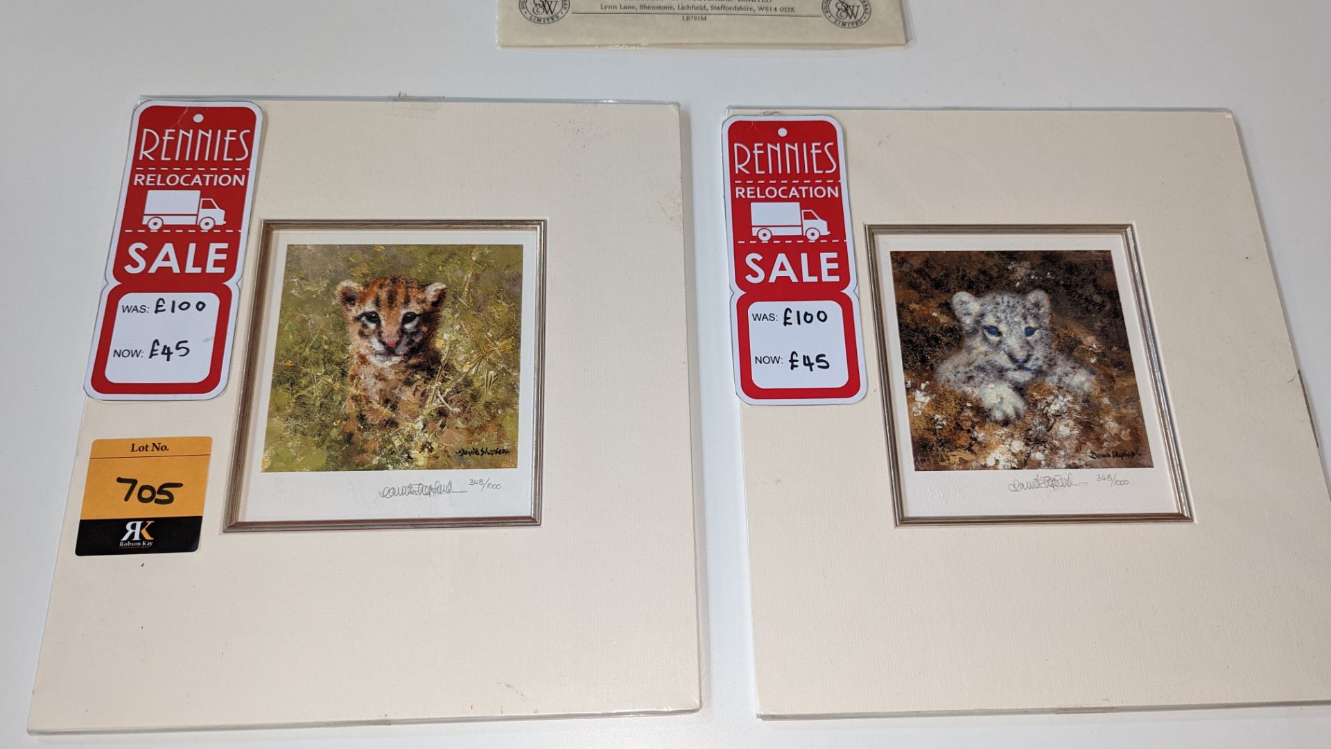 Pair of limited edition prints by David Shepherd OBE FRSA, "Snow Leopard Cub" & "Ocelot Cub", each p - Image 2 of 12