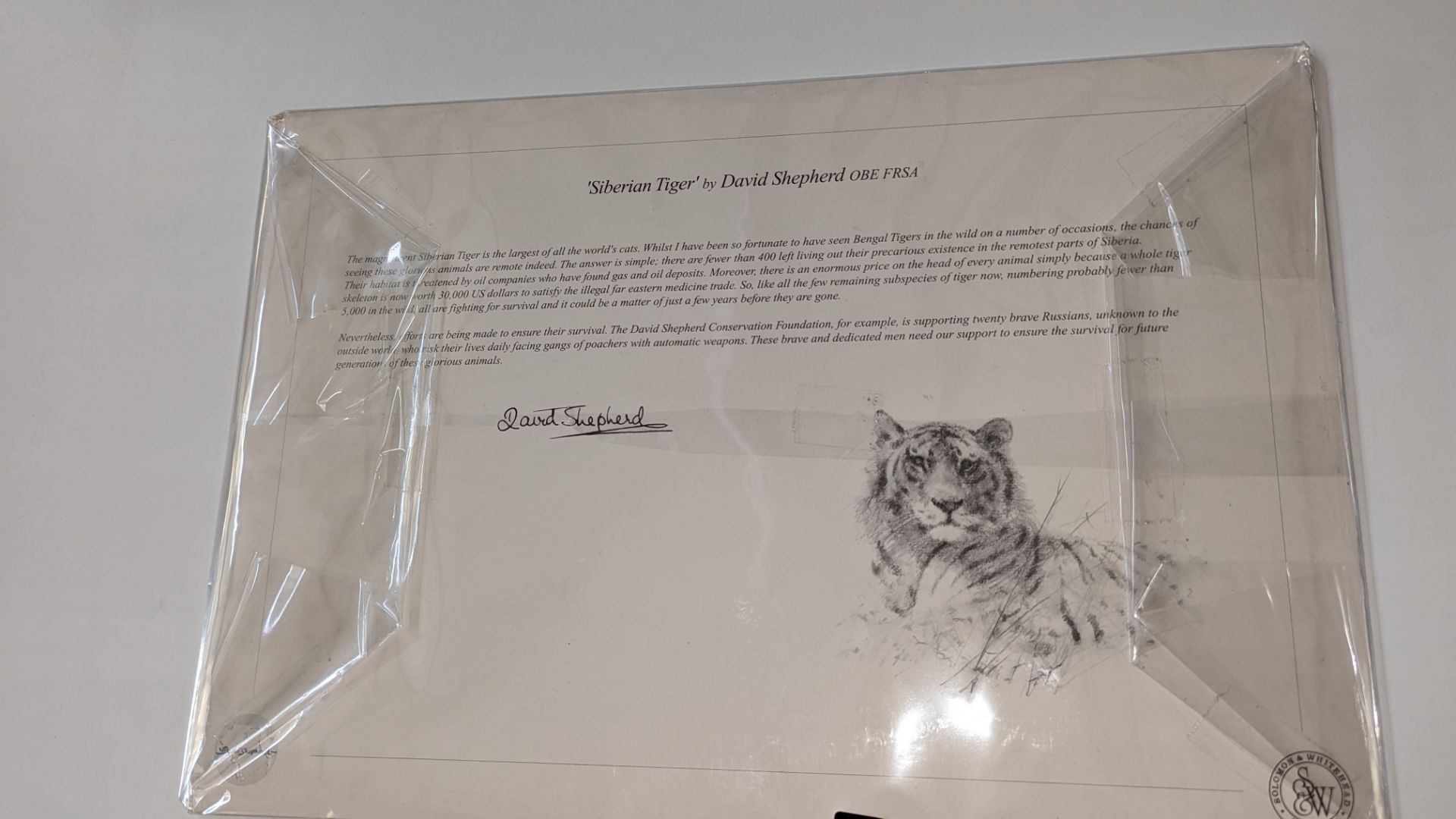 Limited edition print titled "Siberian Tiger" by David Shepherd OBE FRSA. No. 258/475. Original sell - Image 11 of 13