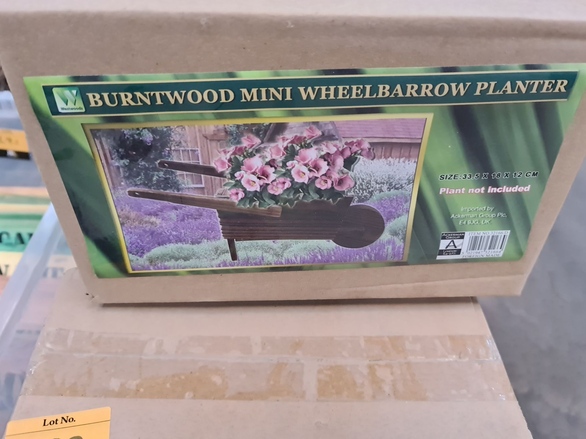 5 off Burntwood mini wheelbarrow planters