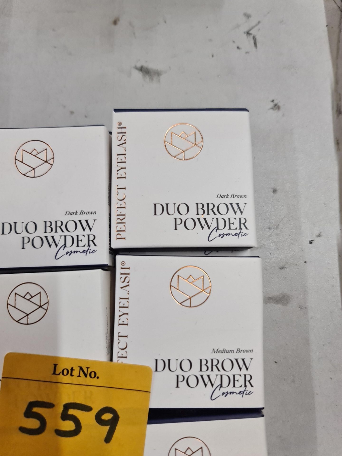 12 off Perfect Eyelash duo brow powder in assorted colours