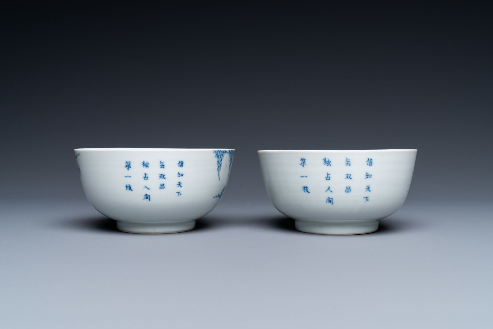 A pair of Chinese 'Bleu de Hue' bowls for the Vietnamese market, 'Roushen collection' mark, 19th C. - Image 5 of 8