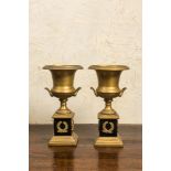 A pair of French gilt and patinated bronze Medici vases, 19/20th C.