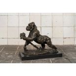 Rembrandt Bugatti (1884-1916, after): Gorilla, patinated bronze on a marble base