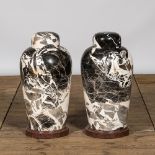 A pair of large black and white 'Grand Antique' marble vases and covers on red marble stands, Italy,