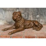 A large brown patinated terracotta model of a bulldog, 20th C.