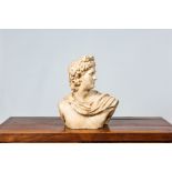 An Italian marble bust of Apollo, 19th C.