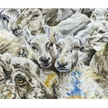 ANWEN ROBERTS acrylic on canvas - study of sheep's faces, signed and dated 2009, 37 x 45cms