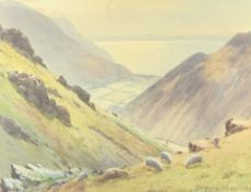 WARREN WILLIAMS ARCA - Sychnant Pass looking over to Anglesey, signed, 25 x 35cms