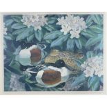 C F TUNNICLIFFE print - ducks amongst foliage, signed in pencil, 40 x 50cms