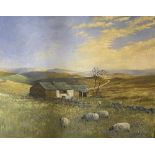 W TAYLOR oil on board - English moorland scene with grazing sheep and buildings, signed, 35 x