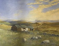 W TAYLOR oil on board - English moorland scene with grazing sheep and buildings, signed, 35 x