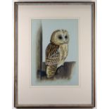 DICK TWINNEY watercolour - Tawney Owl on a Gate, signed and dated 1974, titled verso, 44 x 31cms