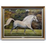 JOHN SUTTON acrylic on board - portrait of Welsh Mountain Pony Stallion 'Revel Cassino', signed,