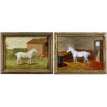 J C MITCHELL (19TH CENTURY) oil on board - Grey Welsh Pony First Prize Winner at The Royal in a