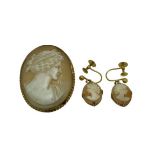 9CT GOLD SHELL CARVED CAMEO BROOCH & PAIR OF EARRINGS SET - 38 x 23mm the brooch, 9.4grms gross