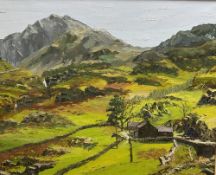 J GLYN ROBERTS oil on canvas - titled 'Plas y Brennin, Capel Curig', signed, 60 x 75cms