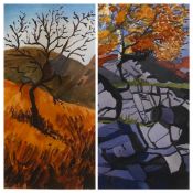 LIZ MACKENZIE watercolours (5) - a colourful assortment of neatly framed contemporary paintings,