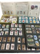 CIGARETTE CARD COLLECTION - 6 albums and loose to include Wills Cigarettes, steam ships, birds,