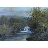 T FAIRFAX oil on board (behind glass) - mountain and riverscape, 39 x 54cms