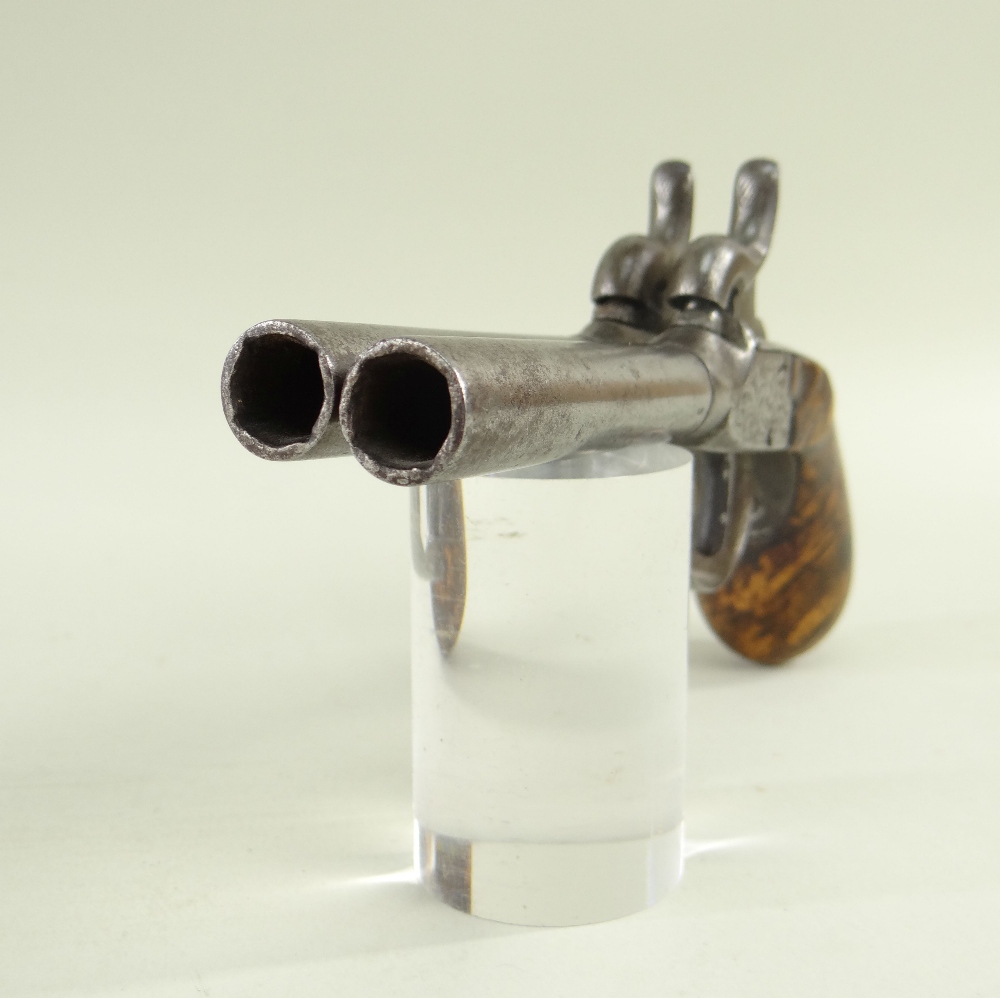 DOUBLE BARELLED POCKET PERCUSSION PISTOL, twin circular barrels, boxlock action with dolphin head - Image 6 of 6