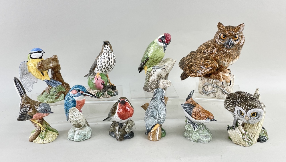 TEN R.& J. MACK PORCELAIN BIRD MODELS, including Eagle owl, Green woodpecker, Little owl, wren etc.,