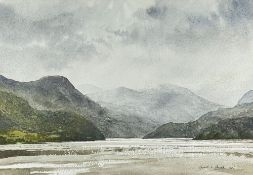 ‡ GARETH THOMAS watercolour