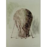 ‡ HARRY HOLLAND colour print