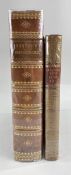 TWO FINELY BOUND VOLUMES OF ANTIQUARIAN REGIONAL WELSH TOURS