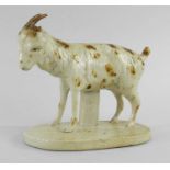 DERBYSHIRE SALT GLAZED STONEWARE MODEL OF A GOAT, c.1820