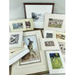 ASSORTED WILDLIFE PRINTS, including Hare after Paul Gaisford, Roebuck study after Colin Woolf, and