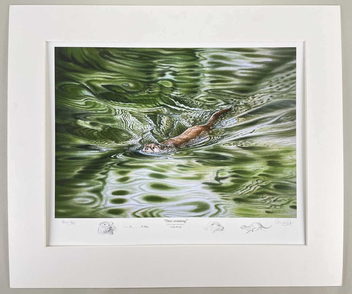 ‡ AFTER COLIN WOOLF (20TH CENTURY) artists proof print - 'Otter Swimming', with additional printed - Image 2 of 2