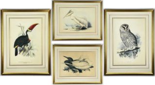 ‡ AFTER EDWARD LEAR, four reproduction ornithological colour prints - Red Billed Toucan, Pelican,