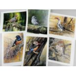 ‡ AFTER PETER BLACKWELL, six limited edition ornithological colour prints - African hornbill, and
