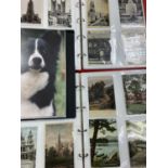 VINTAGE & LATER POSTCARD COLLECTION - approximately 240 within 3 albums to include standard and
