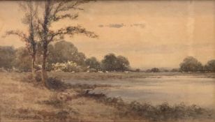 CRESWICK BOYDELL watercolour - Country scene, pond with trees to foreground and grazing sheep, 31