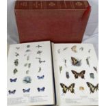 NATURAL HISTORY OF BRITISH BUTTERFLIES BY F W FROHAWK, VOLUMES 1 & 2 and 'The Morton Facsimile'