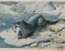 C F TUNNICLIFFE print (445/500) - Otter, signed in pencil, 46 x 35cms