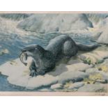 C F TUNNICLIFFE print (445/500) - Otter, signed in pencil, 46 x 35cms