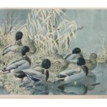 C F TUNNICLIFFE print (270/500) - Ducks, signed in pencil, 43 x 52cms