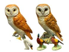 BESWICK POTTERY BIRDS (5) - two standing owls 1046 pattern, 19cms H, a swan and two standing