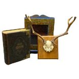 DISPLAY ANTLERS ON A WOODEN PLAQUE, an old brass bound and clasped bible and a single glazed door