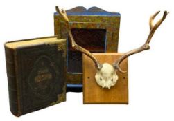 DISPLAY ANTLERS ON A WOODEN PLAQUE, an old brass bound and clasped bible and a single glazed door