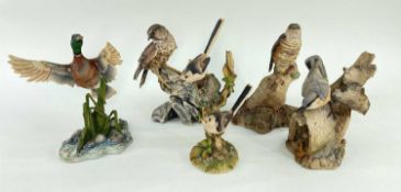 ASSORTED BIRD MODELS, including Teviotdale falcon 1604, another similar, Nuthatch, Drake alighting