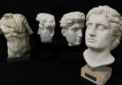 REPRODUCTION CLASSICAL SCULPTURES, including pair of bookends, draped bust and head of Alexander the