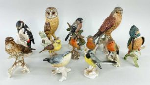 ASSORTED CONTINENTAL PORCELAIN BIRD MODELS, including 9 Goebel birds including Barn owl and