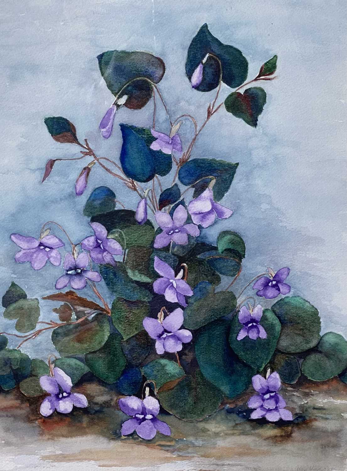 UNA CHADWICK watercolours (2) - study of Violets, signed 36 x 26cms and study of Pink - Image 3 of 3