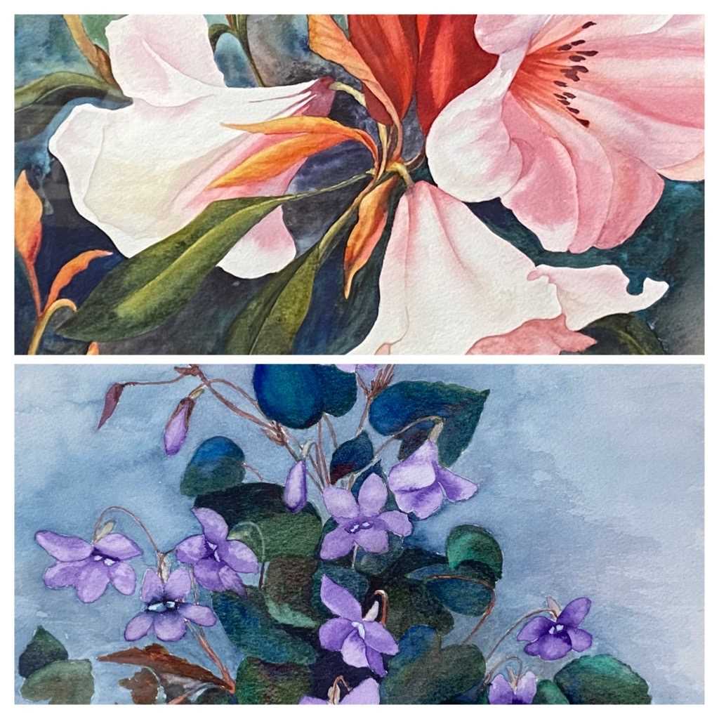 UNA CHADWICK watercolours (2) - study of Violets, signed 36 x 26cms and study of Pink