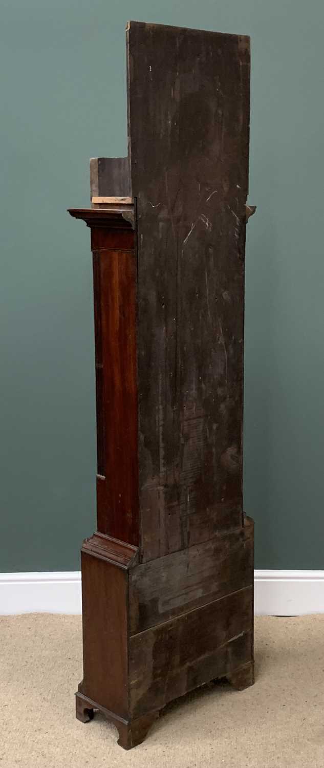 ANTIQUE MAHOGANY LONGCASE CLOCK with painted dial, eight day movement, no pendulum or weights 217cms - Image 5 of 11