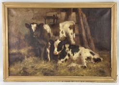 DAVID GAULD R.S.A. (Scottish, 1865-1936), oil on canvas - Ayrshire calves in a barn, signed, 50 x